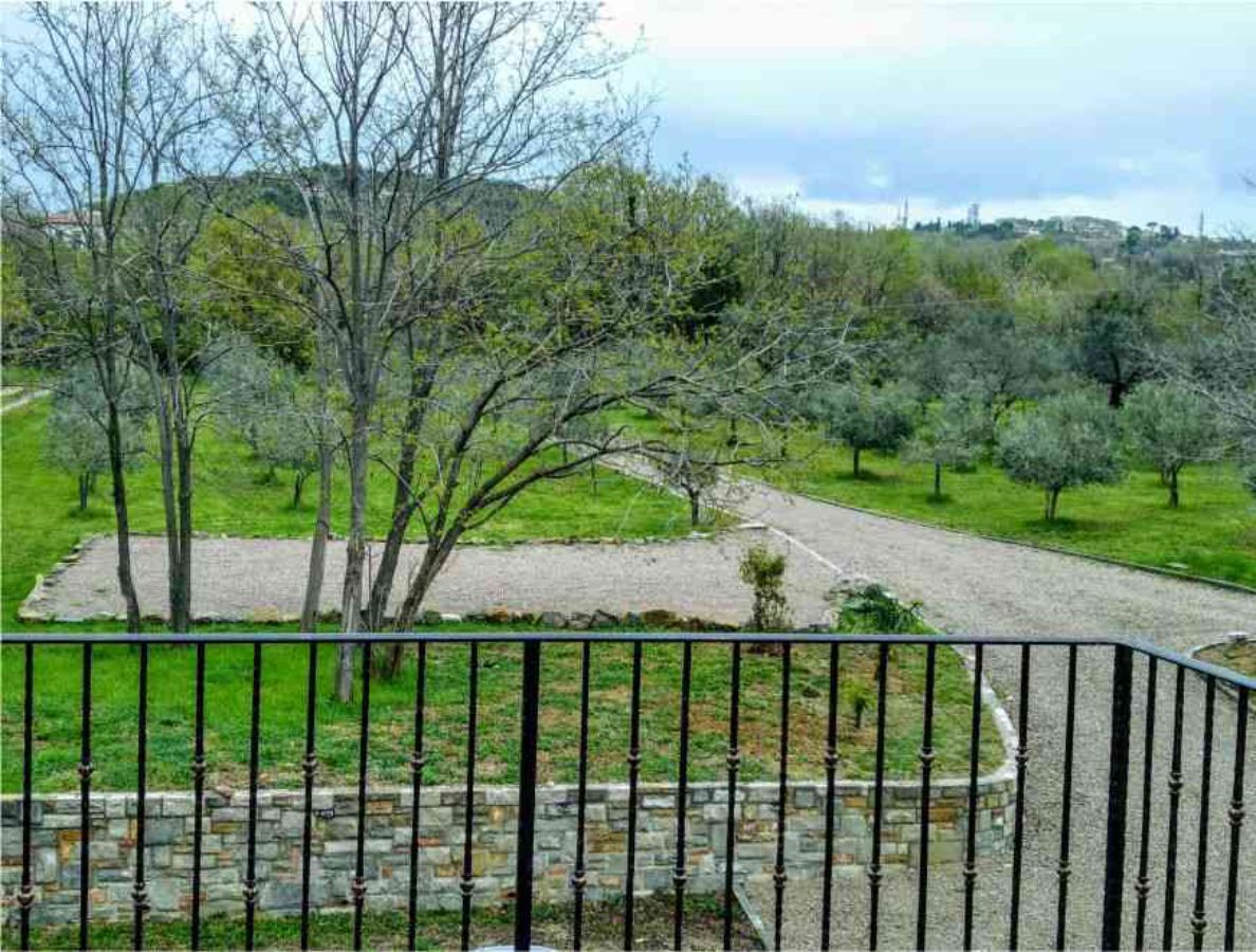 Balkongeländer, Bäume auf dem Rasen hinter der Steinmauer, schmale Straße in der Mitte, Olivenhain auf der rechten Seite