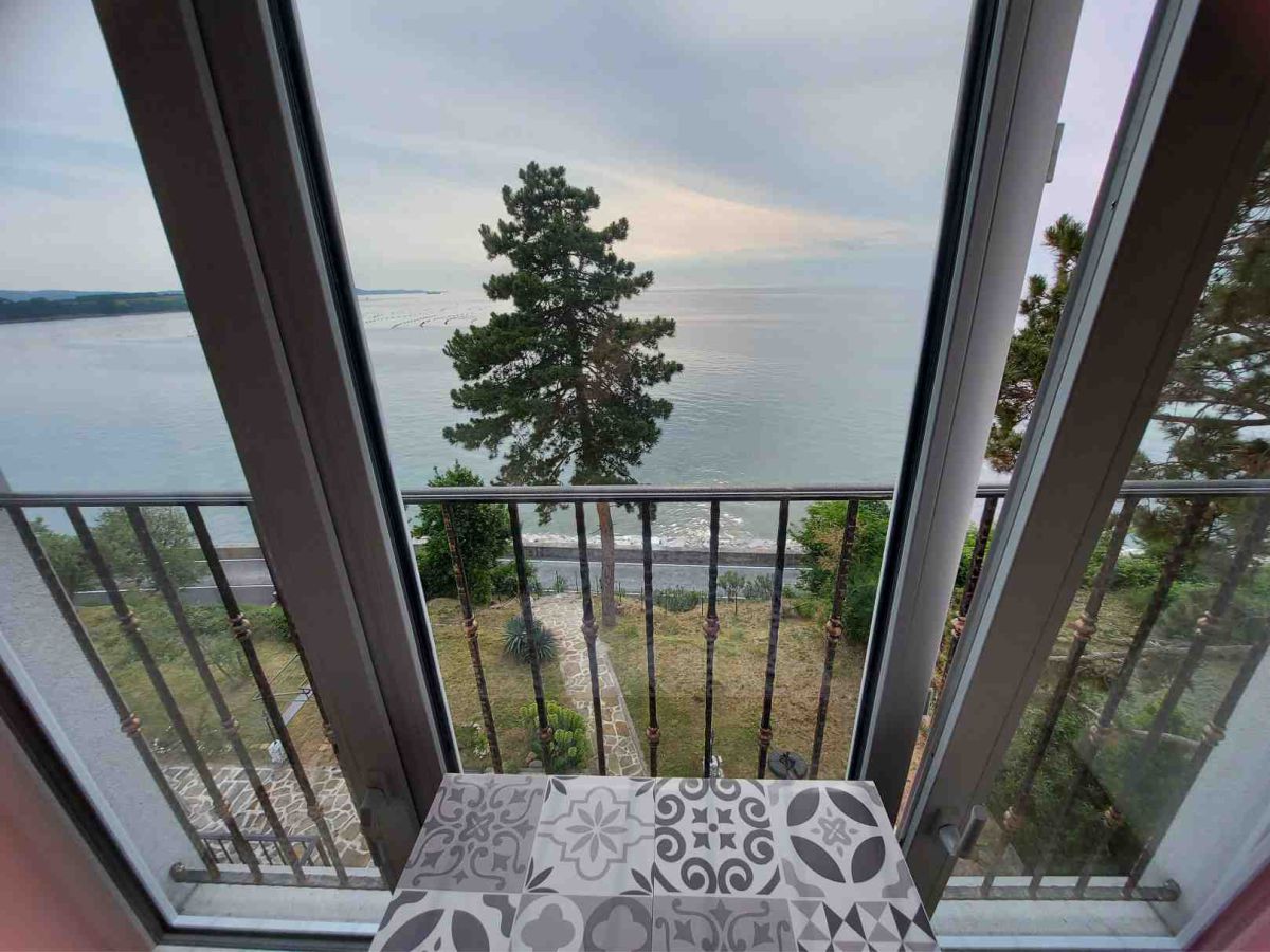 Panoramafenster, ein Baum und Sträucher, im Hintergrund das Meer