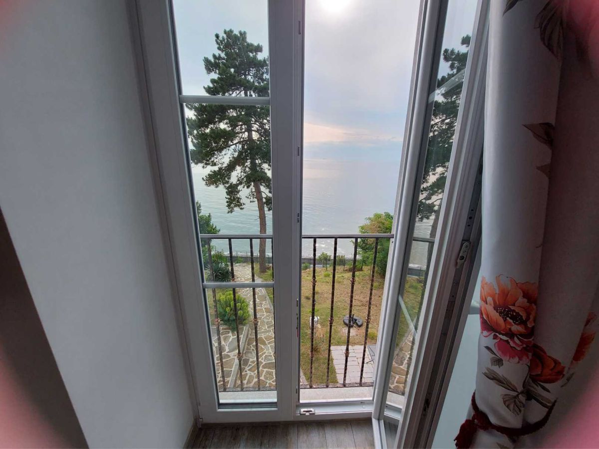 View through the window, a tree with bushes, the sea in the background