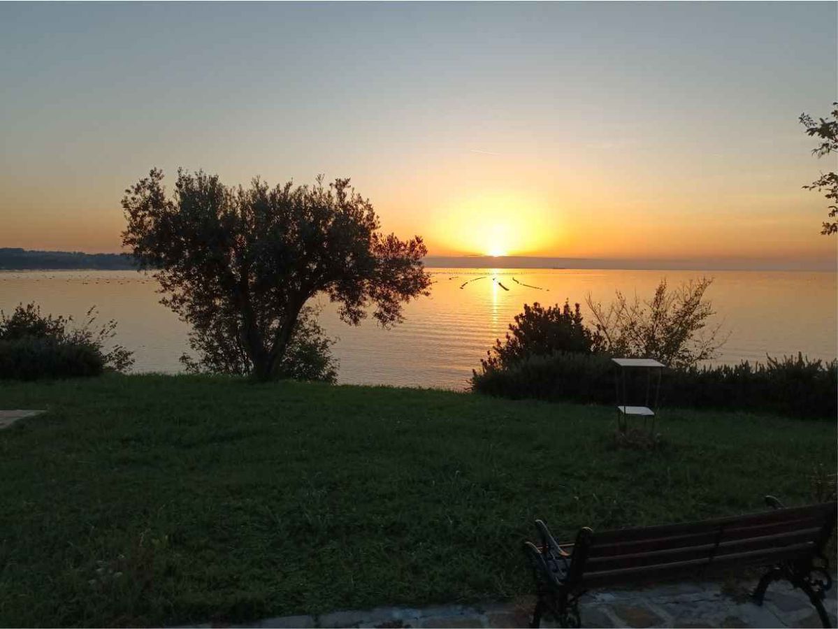 Grünfläche mit Bäumen, das Meer im Hintergrund