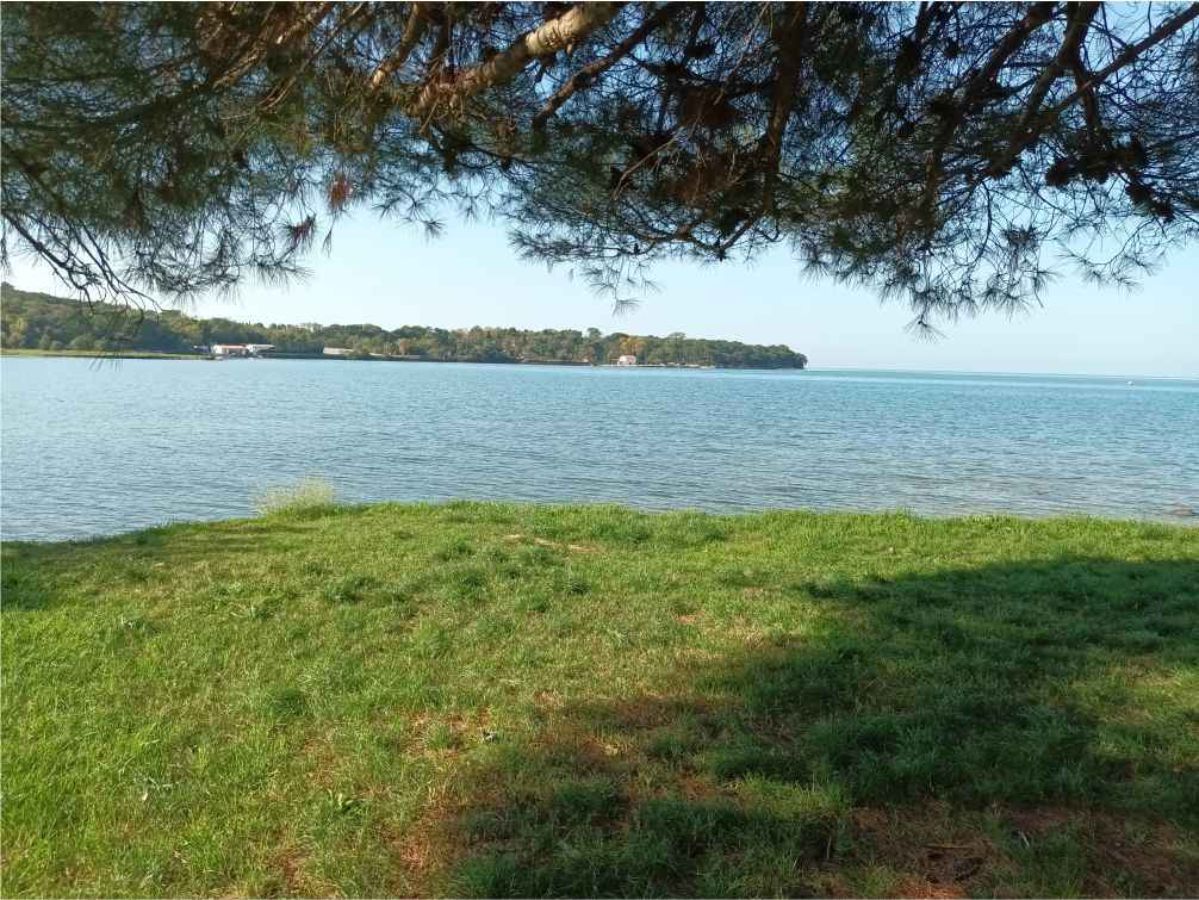 un'area verde in riva al mare, sullo sfondo alberi