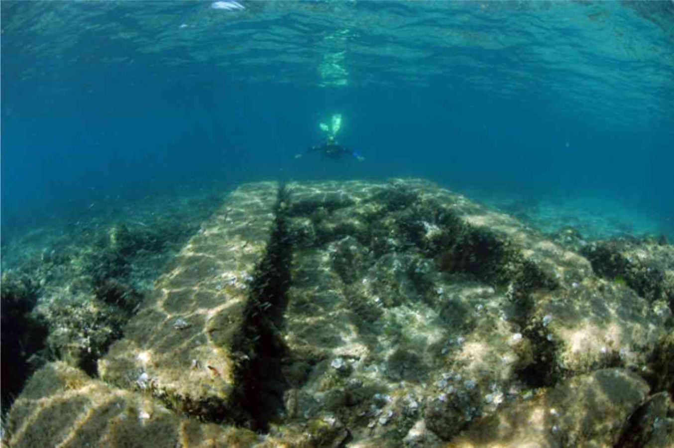 fondale roccioso, subacqueo sullo sfondo