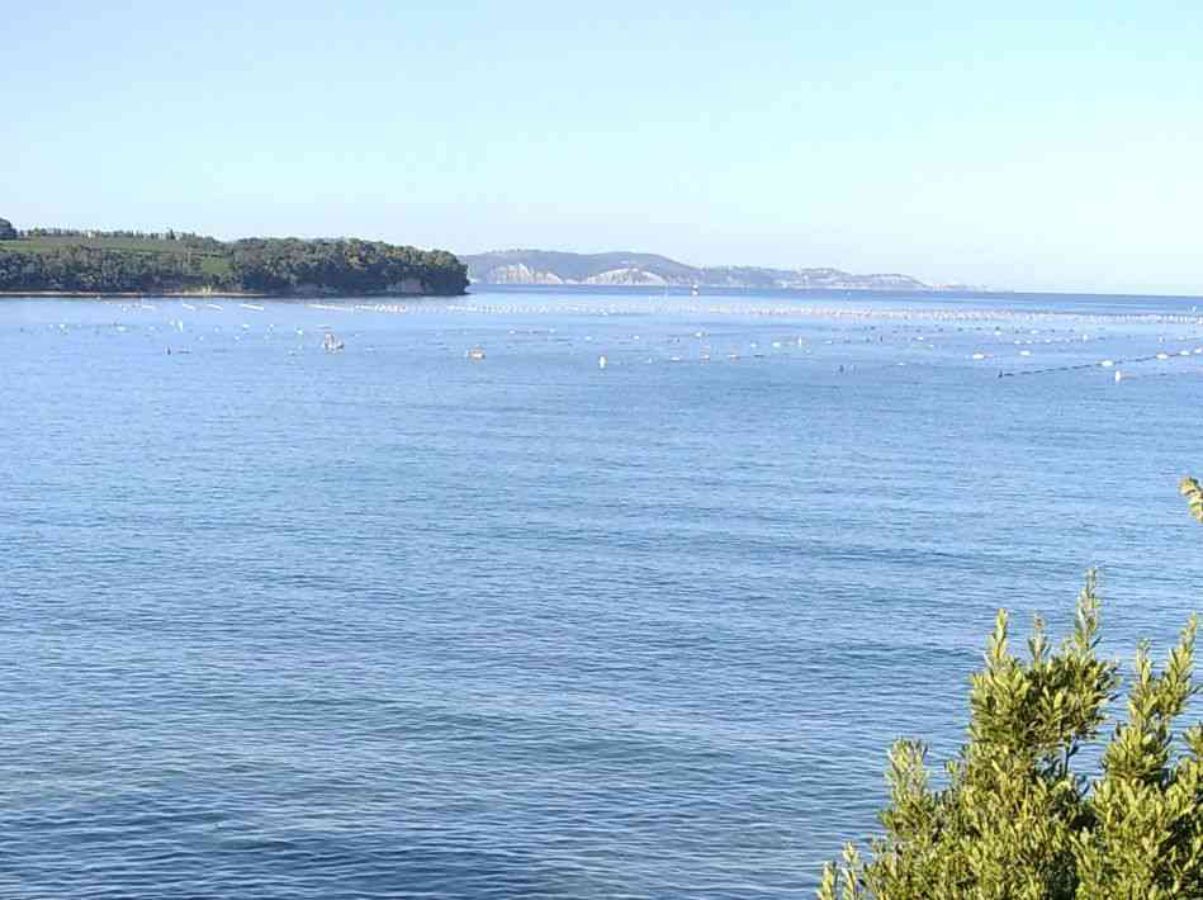 Baia del mare con la costa sullo sfondo